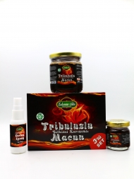 3 в 1 Эпимедиумная паста Lokman Ada - Tribuluslu Macun 230 гр