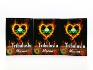 Комплект из 3 штук - Themra - Tribuluslu Macun Эпимедиумная паста 240 гр Комплект из 3 штук - Themra - Tribuluslu Macun Эпимедиумная паста 240 гр