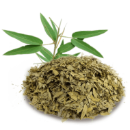 Сенна Мекканская Сенна Мекканская